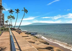 Hololani B102 Hololani B102