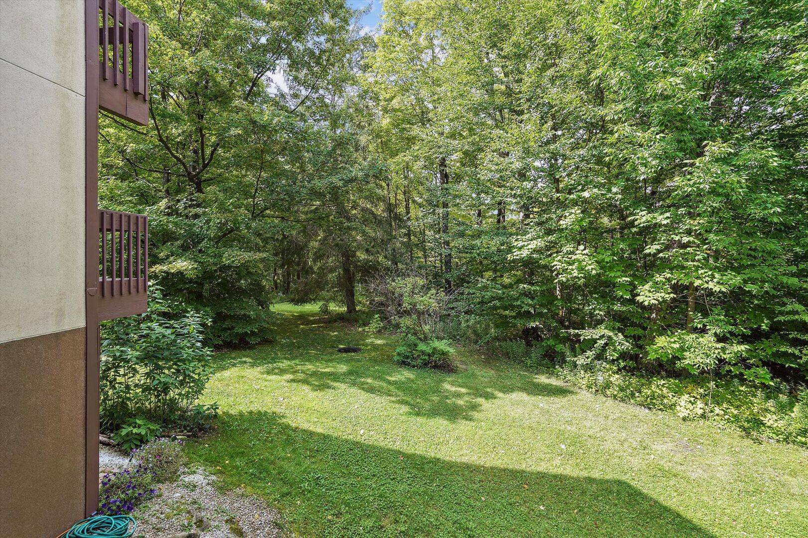 Backyard View