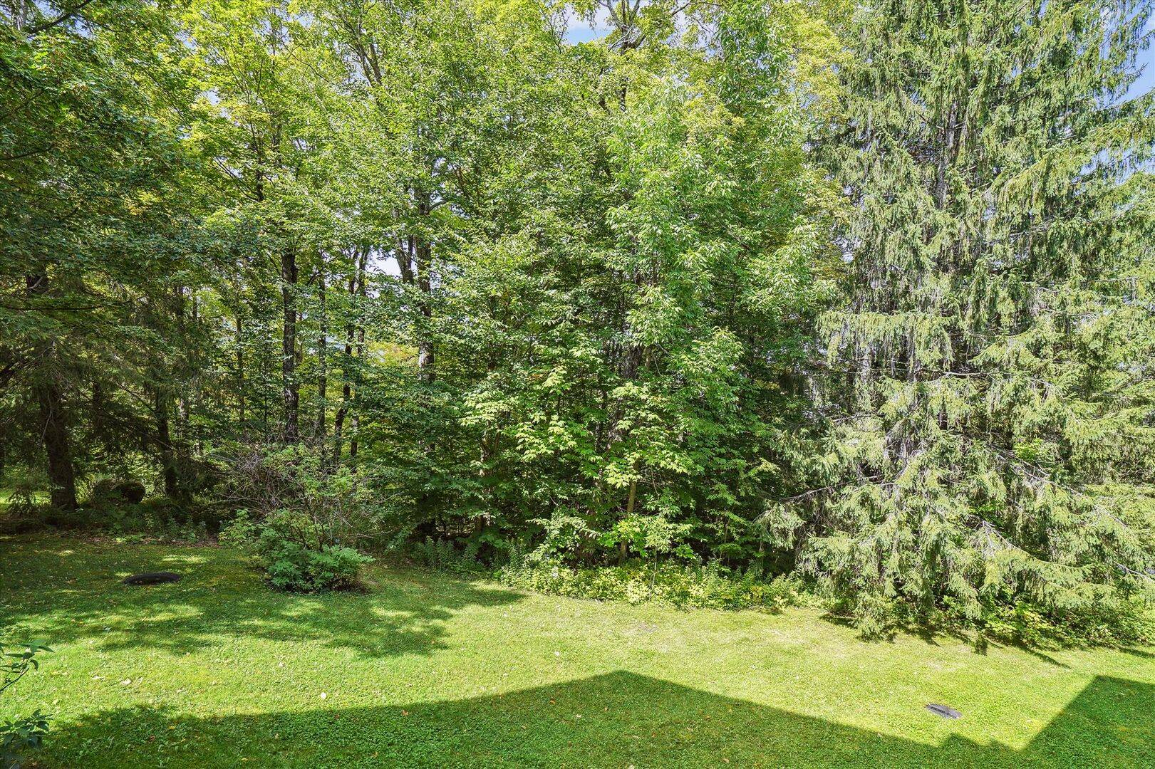 Wooded Surroundings