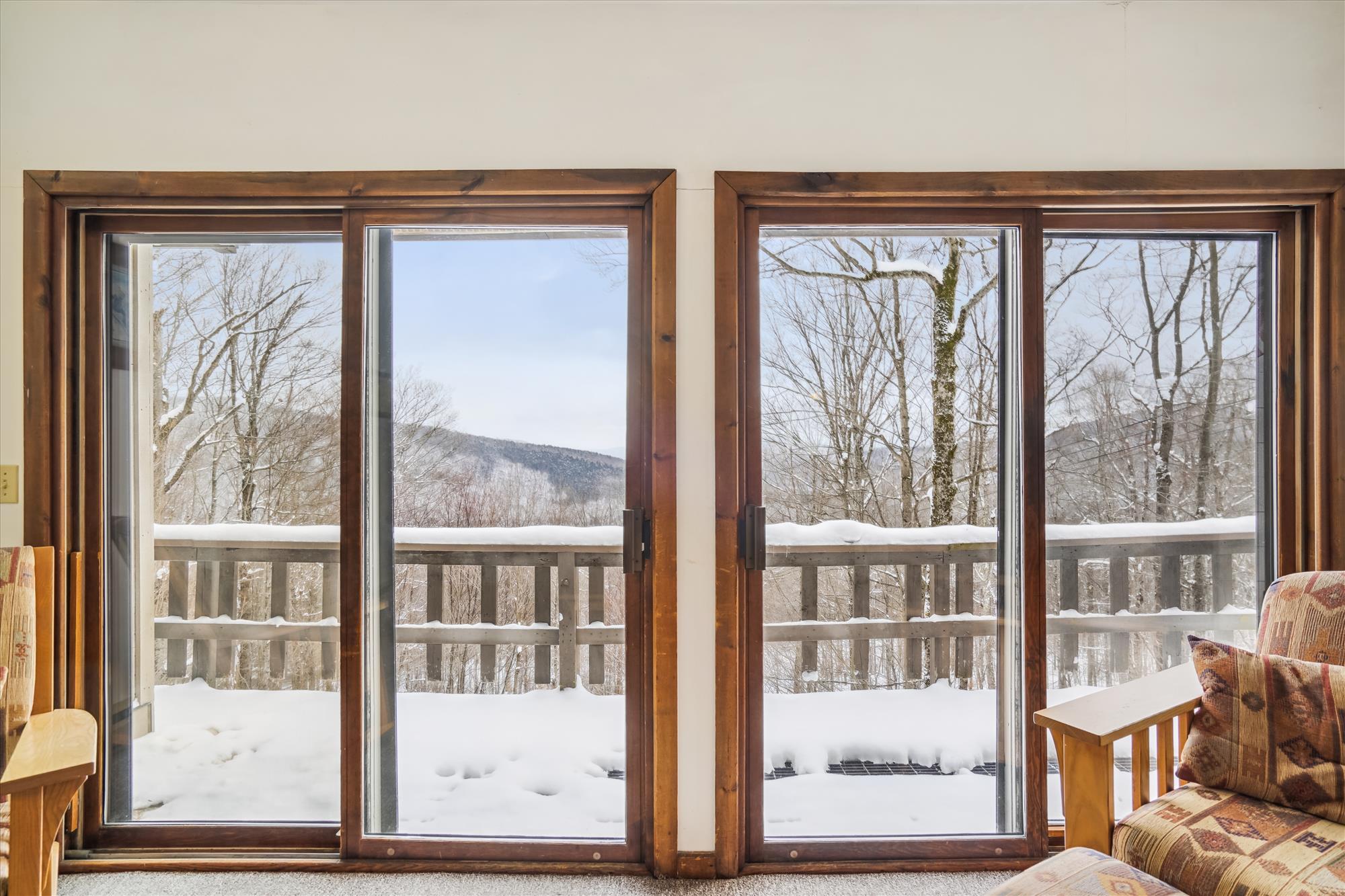 Mountain View Windows