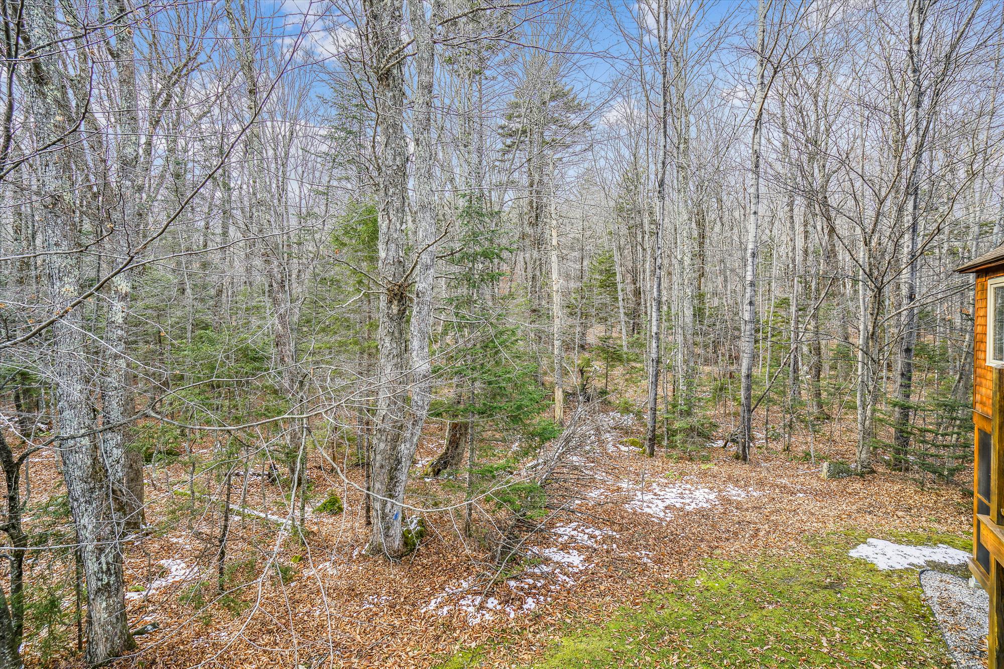 Wooded Surroundings