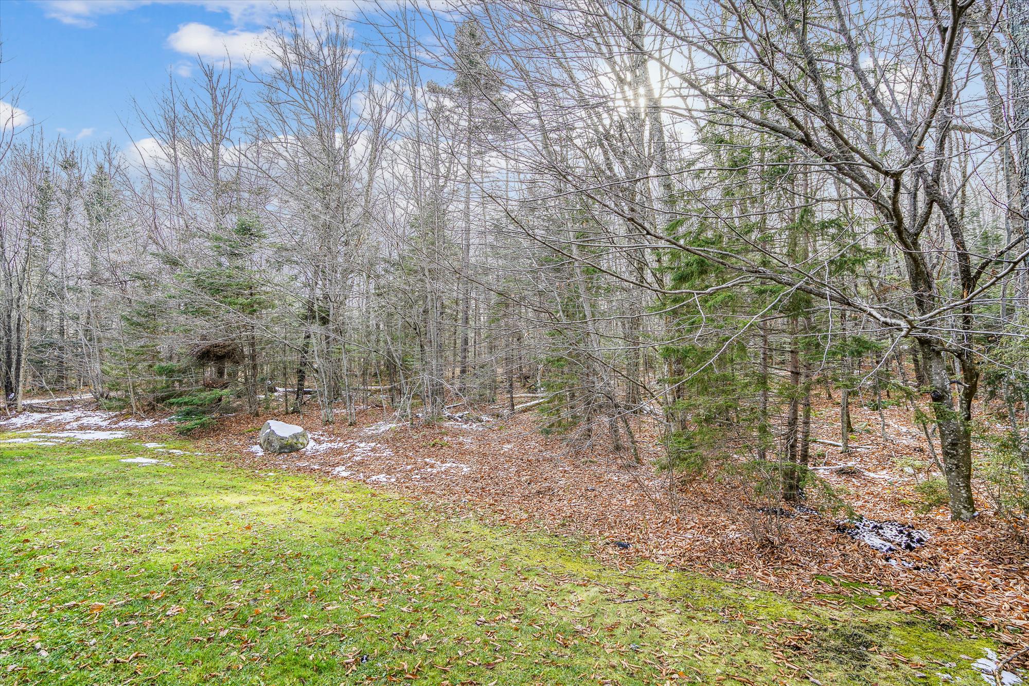 Natural Vermont Setting
