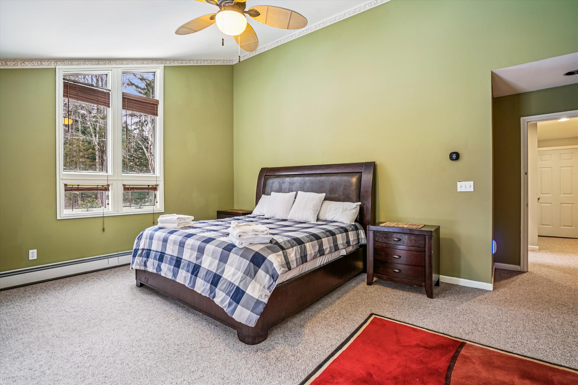 Spacious Bedroom with Natural Light