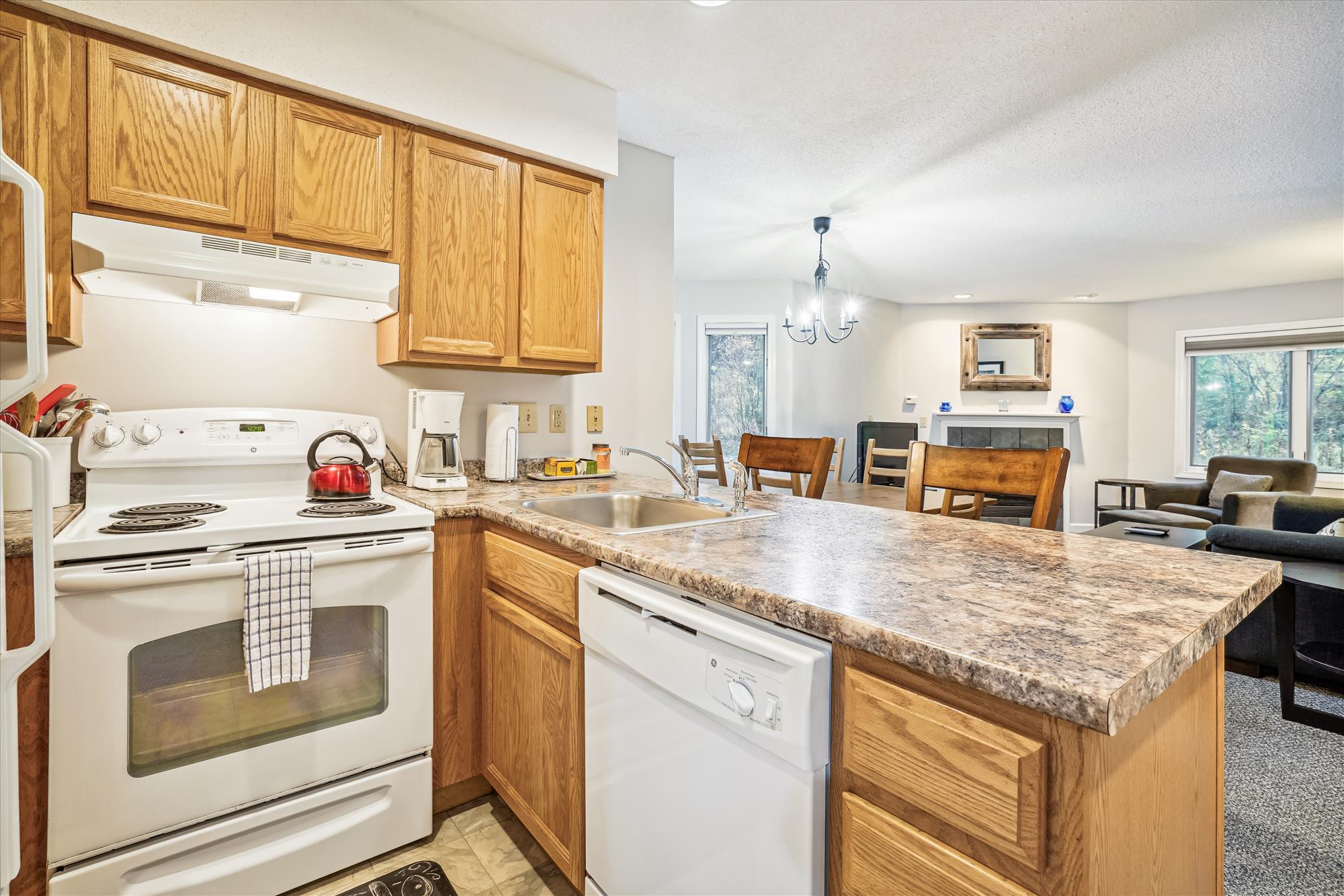 Open Kitchen and Living Area
