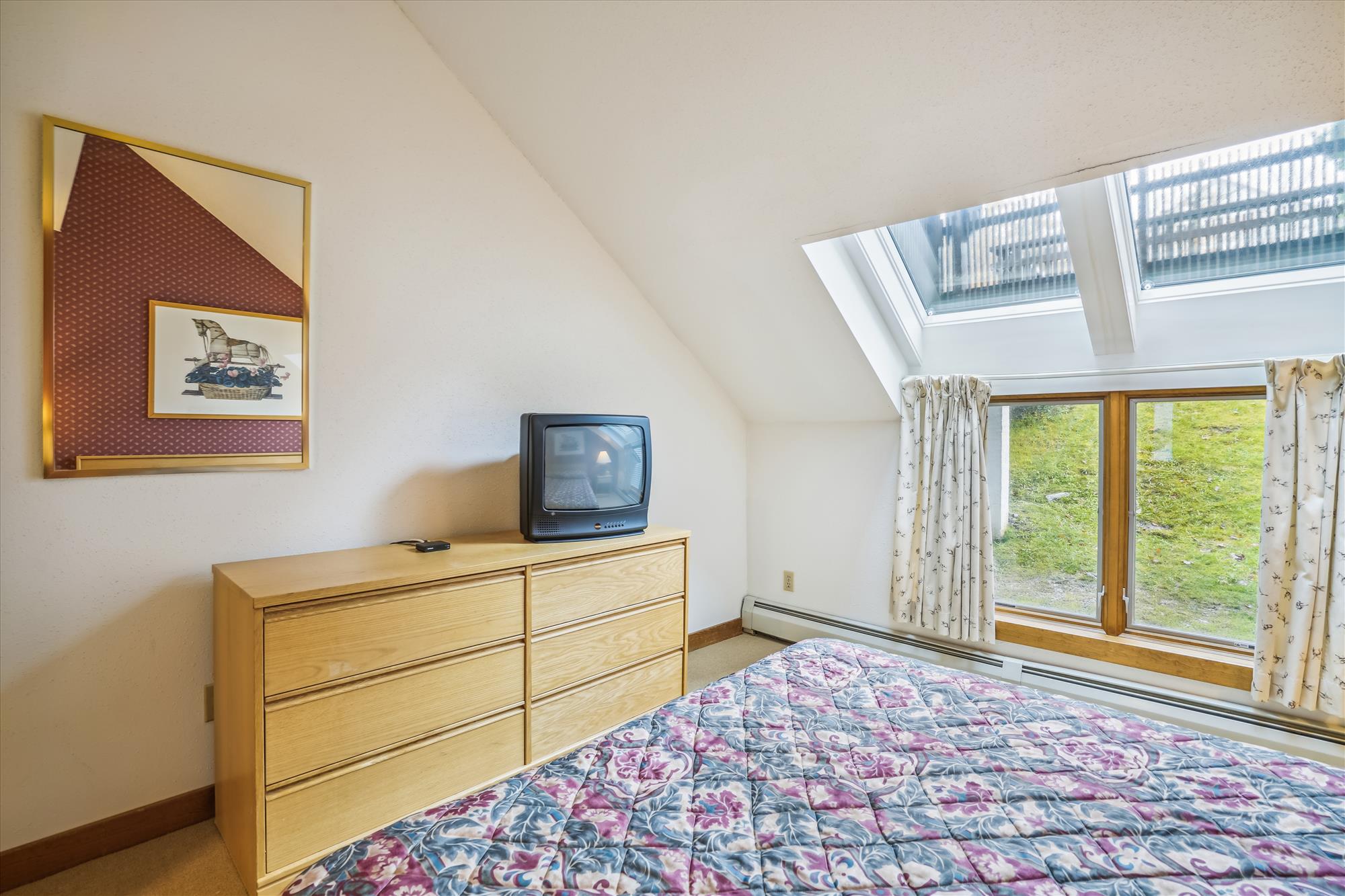 Skylights and Mountain Views