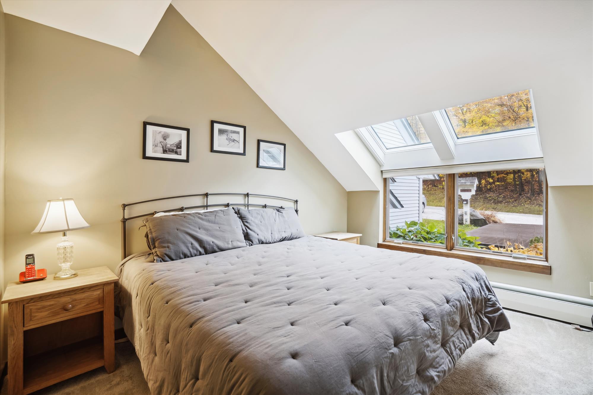 Primary Bedroom with Skylights