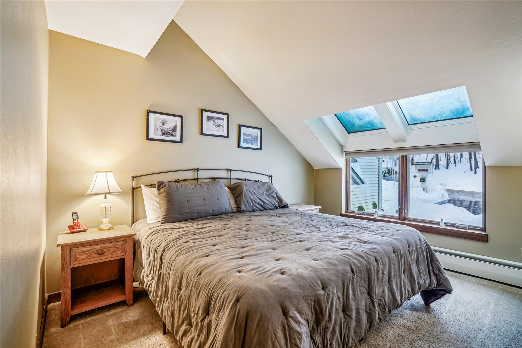 Inviting Bedroom with Skylights