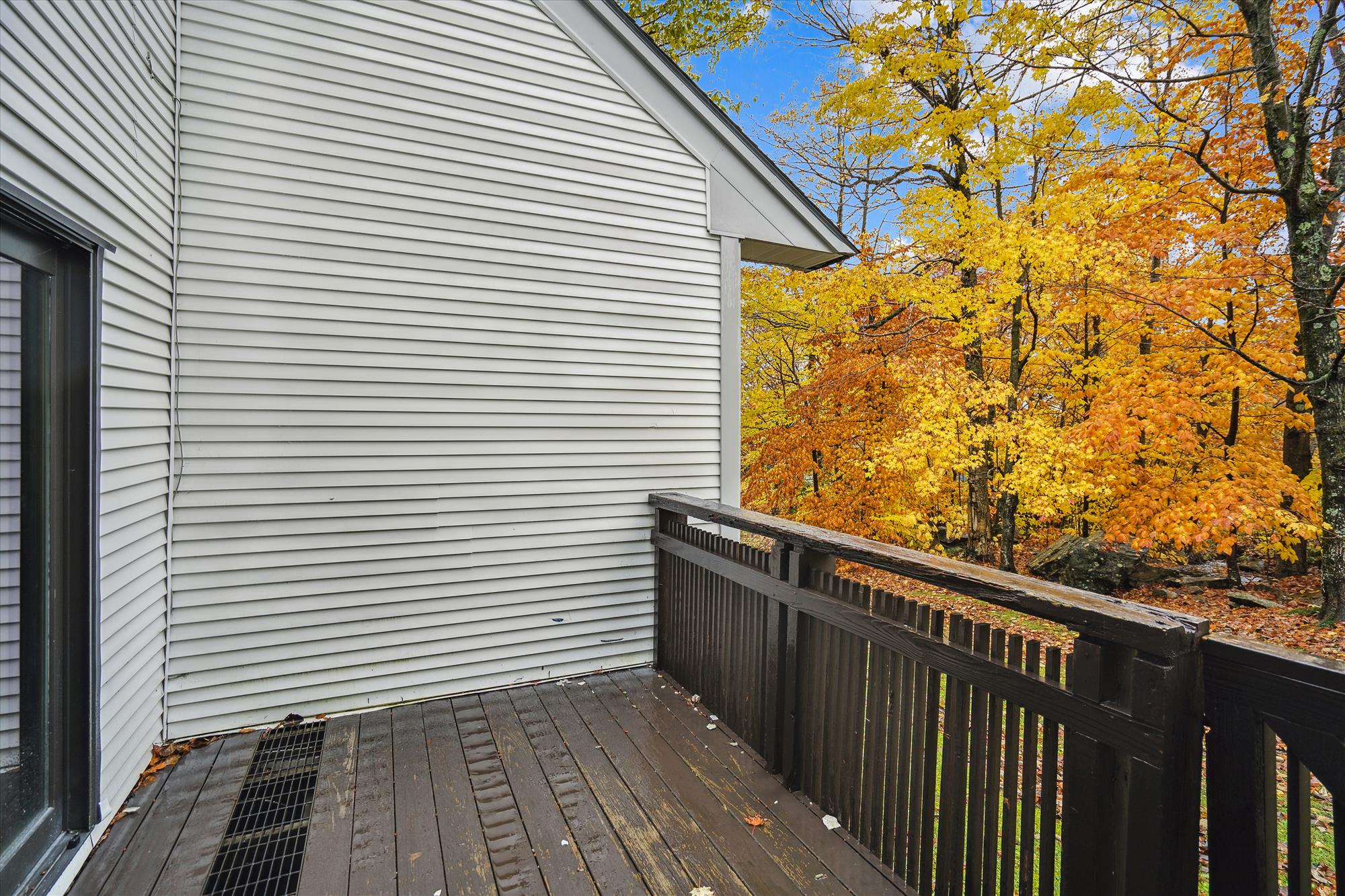 Wooded Views from the Deck