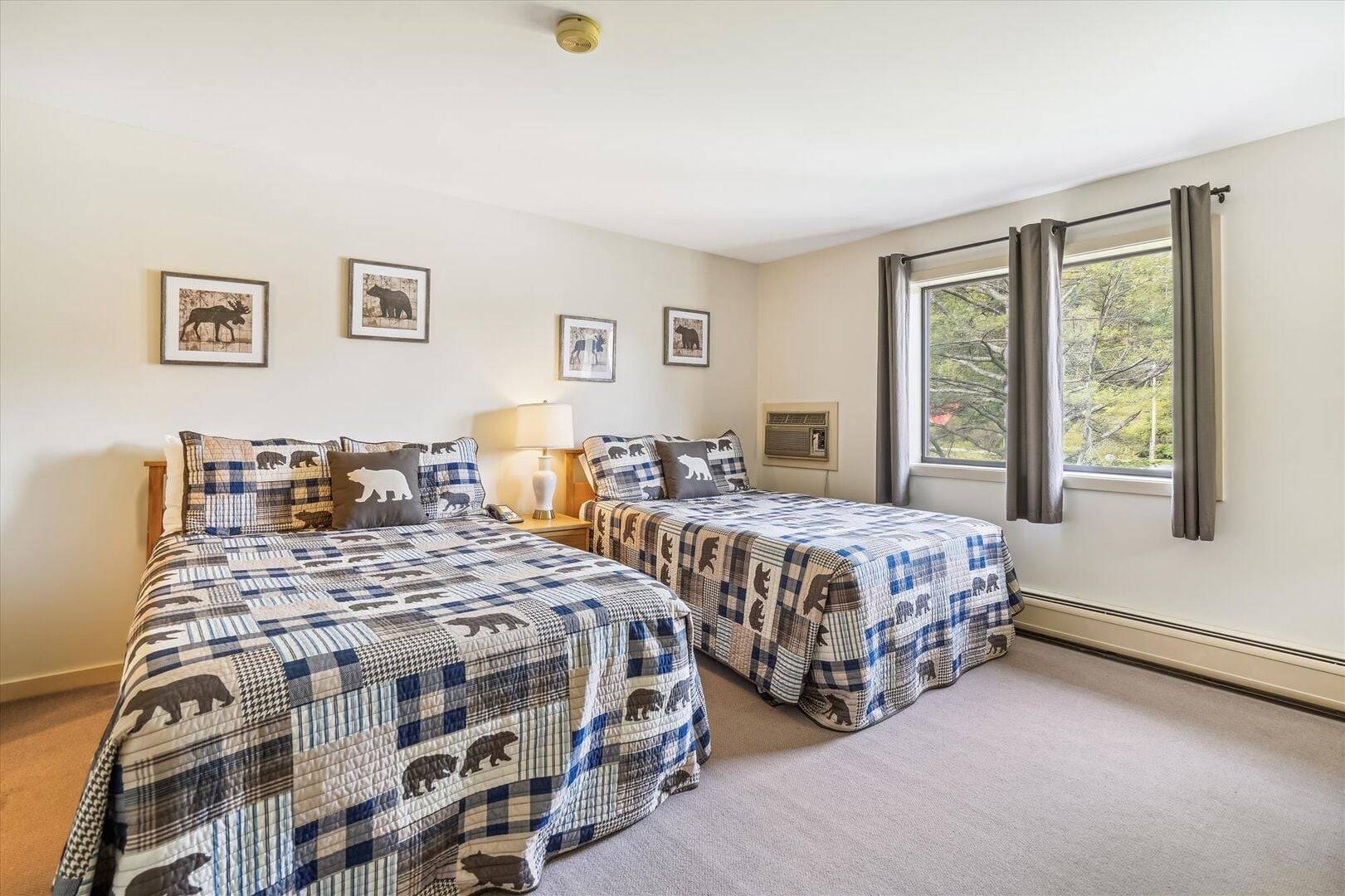215 217 Cedarbrook Junior Suite | Photo 4
