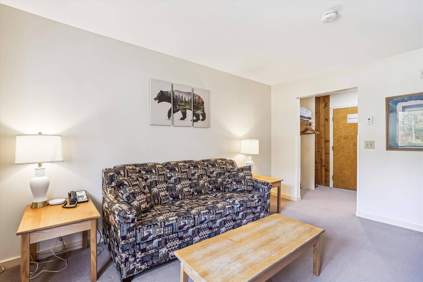 215 217 Cedarbrook Junior Suite | Photo 9