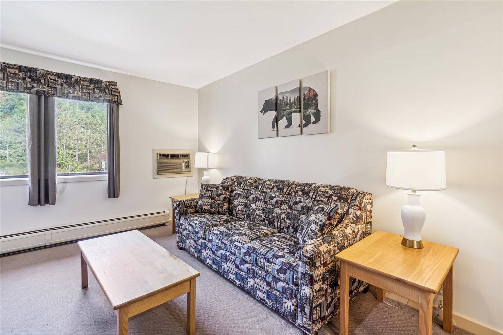 215 217 Cedarbrook Junior Suite | Photo 10