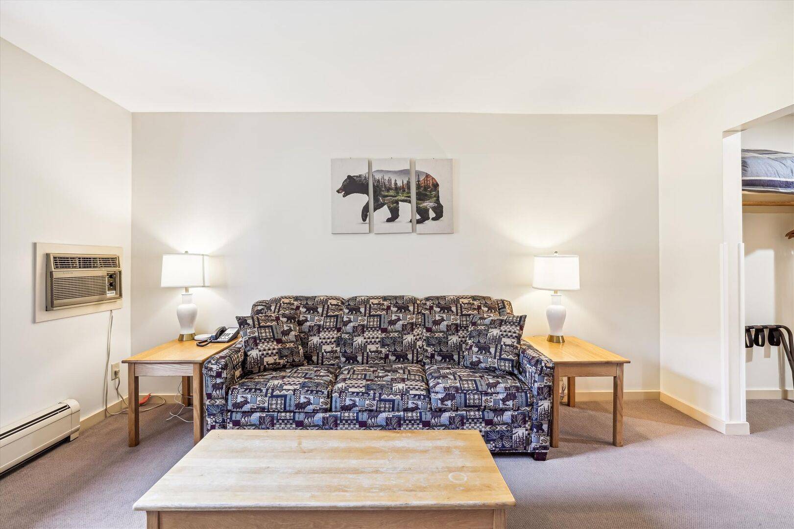 215 217 Cedarbrook Junior Suite | Photo 13