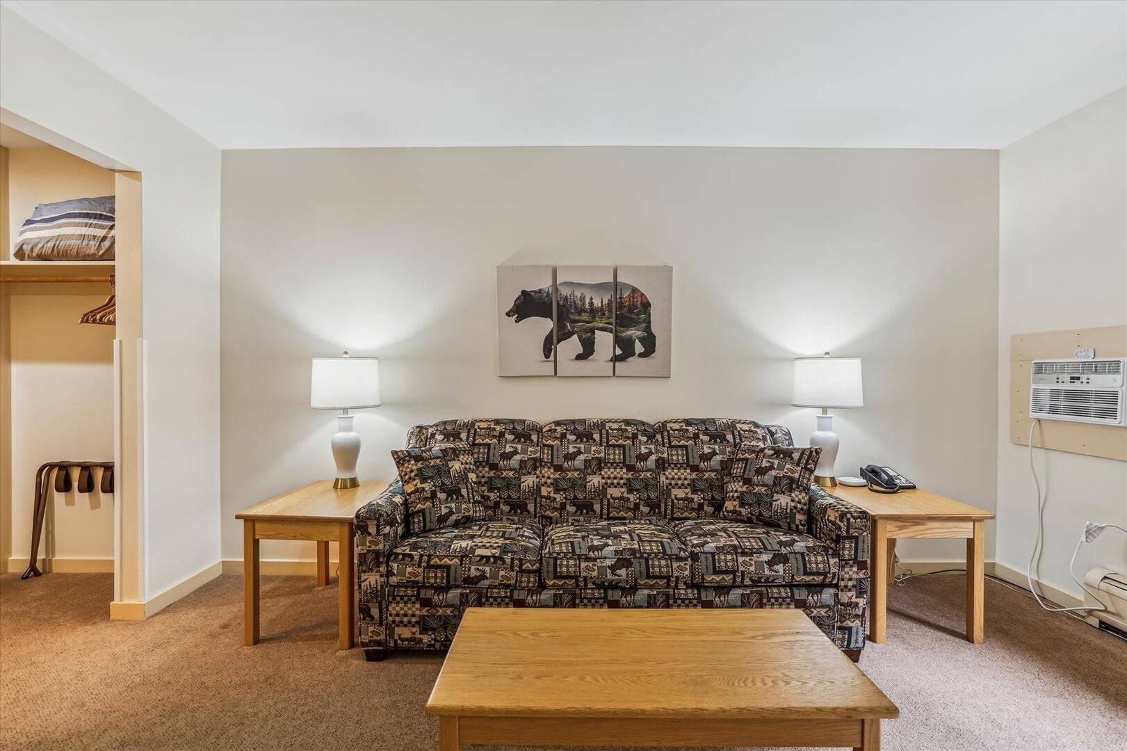 220 Cedarbrook Efficiency/Sleeper Sofa Only | Photo 3
