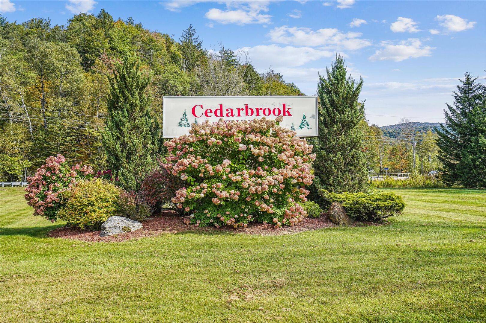 220 Cedarbrook Efficiency/Sleeper Sofa Only | Photo 17