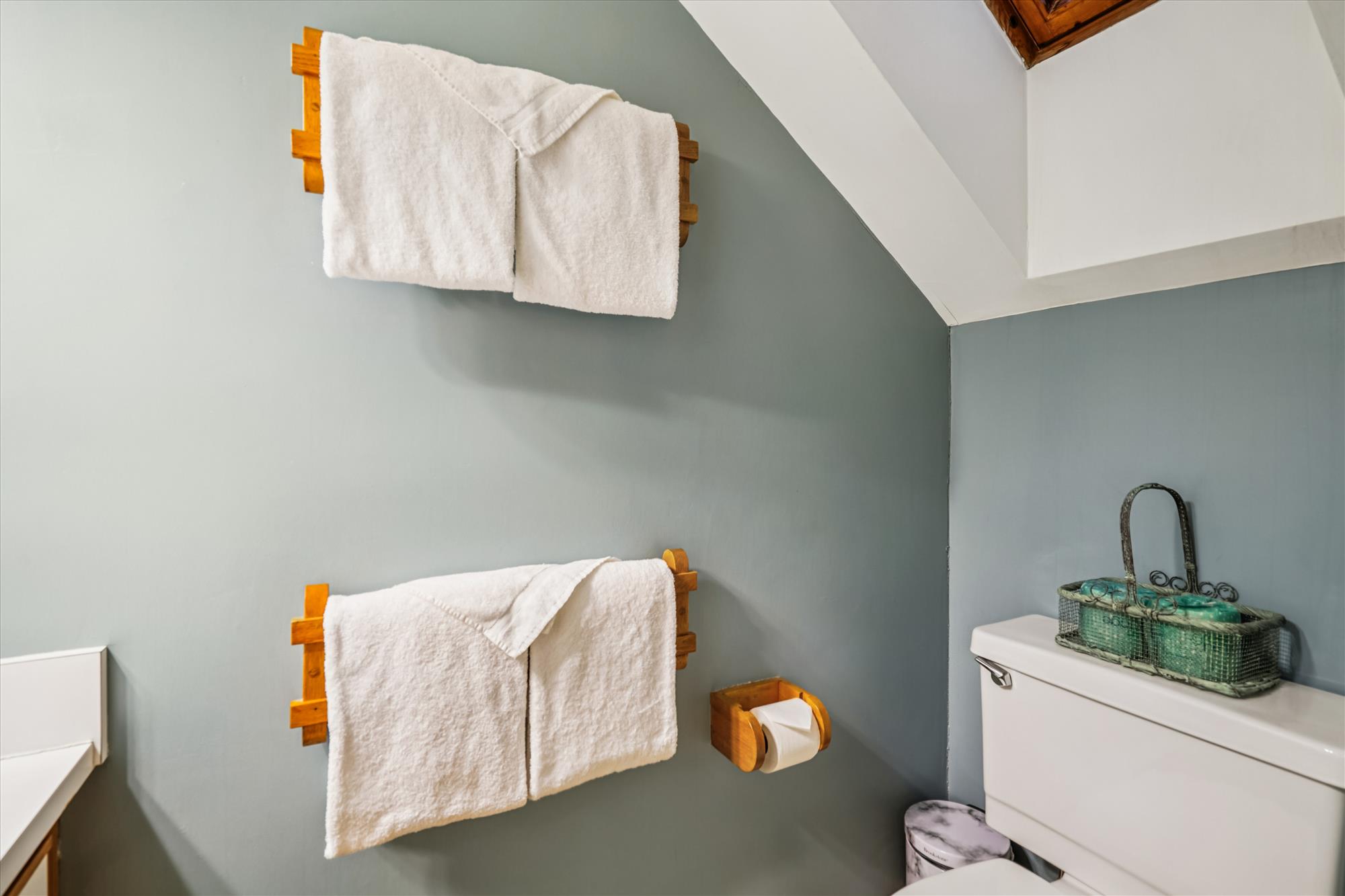 Upper Bathroom with Skylight