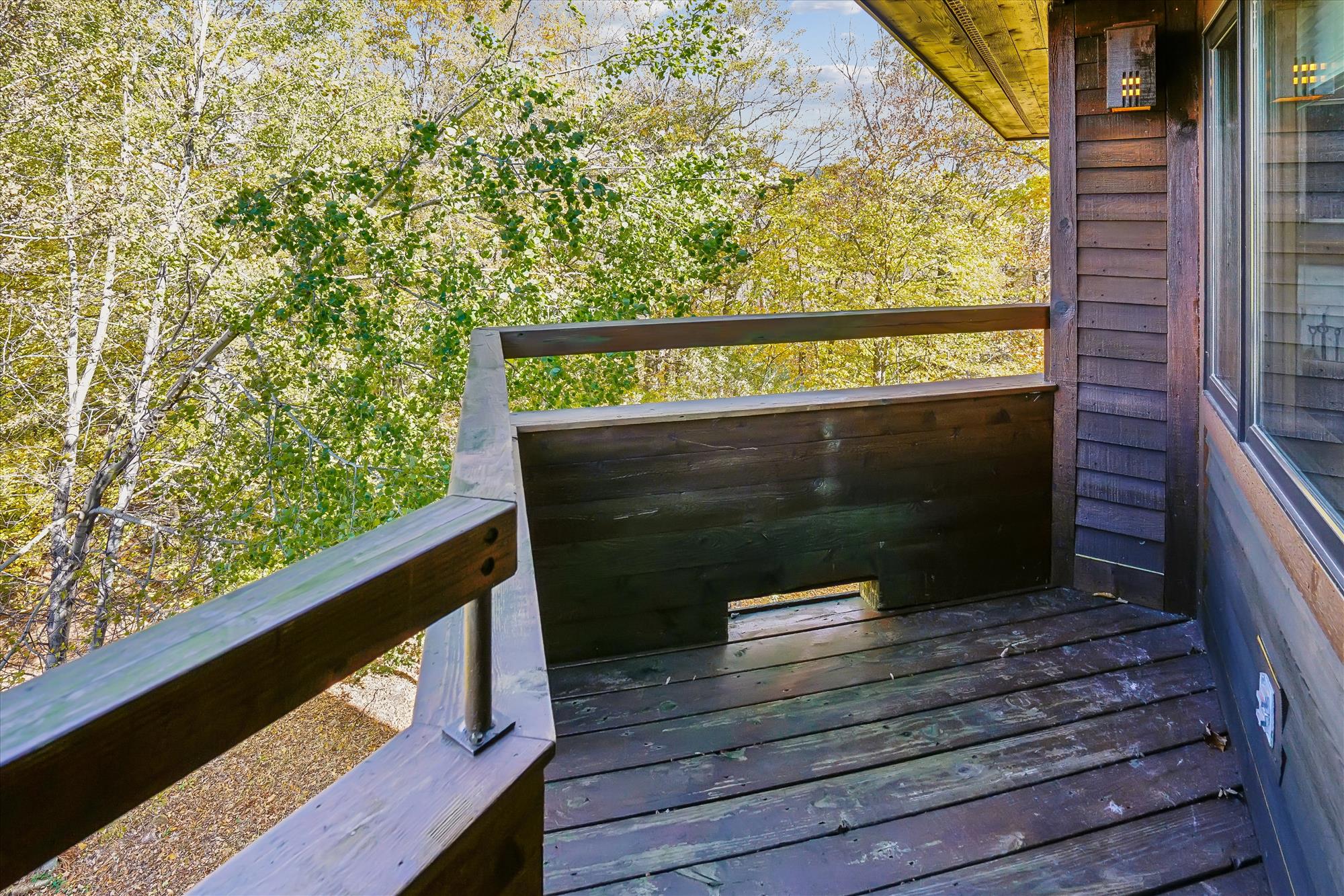 Balcony Overlooking the Trees