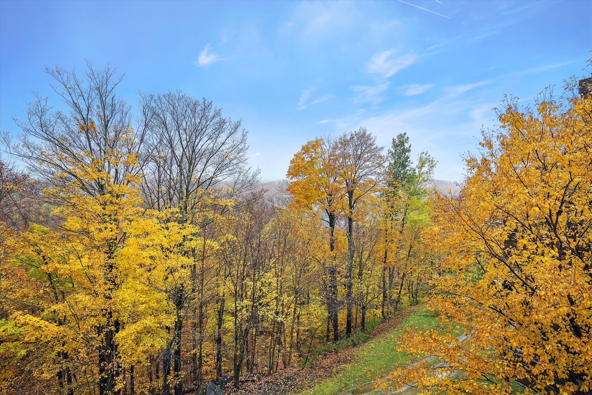 Highridge Scenery