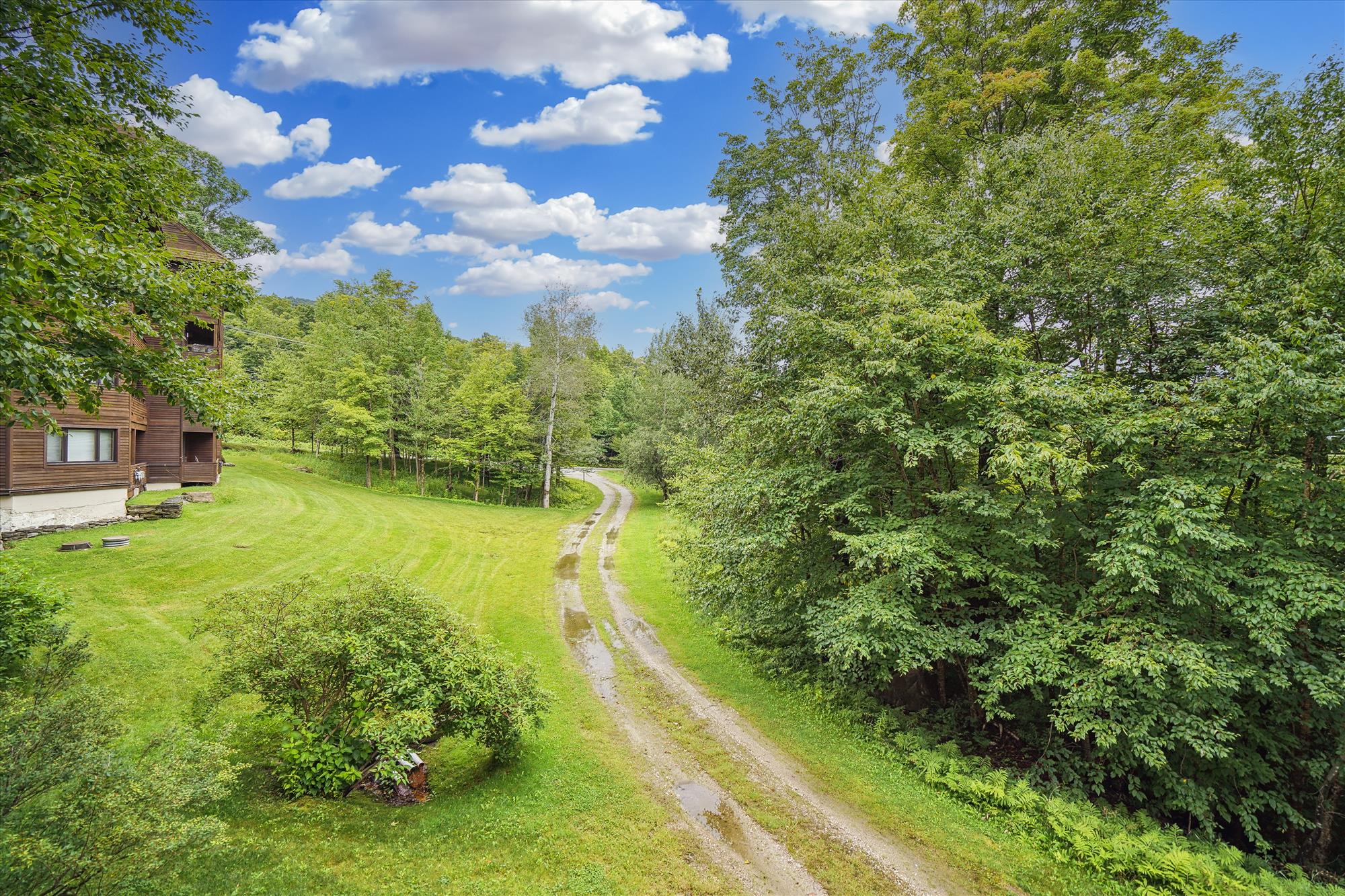 Scenic Mountain Property Setting