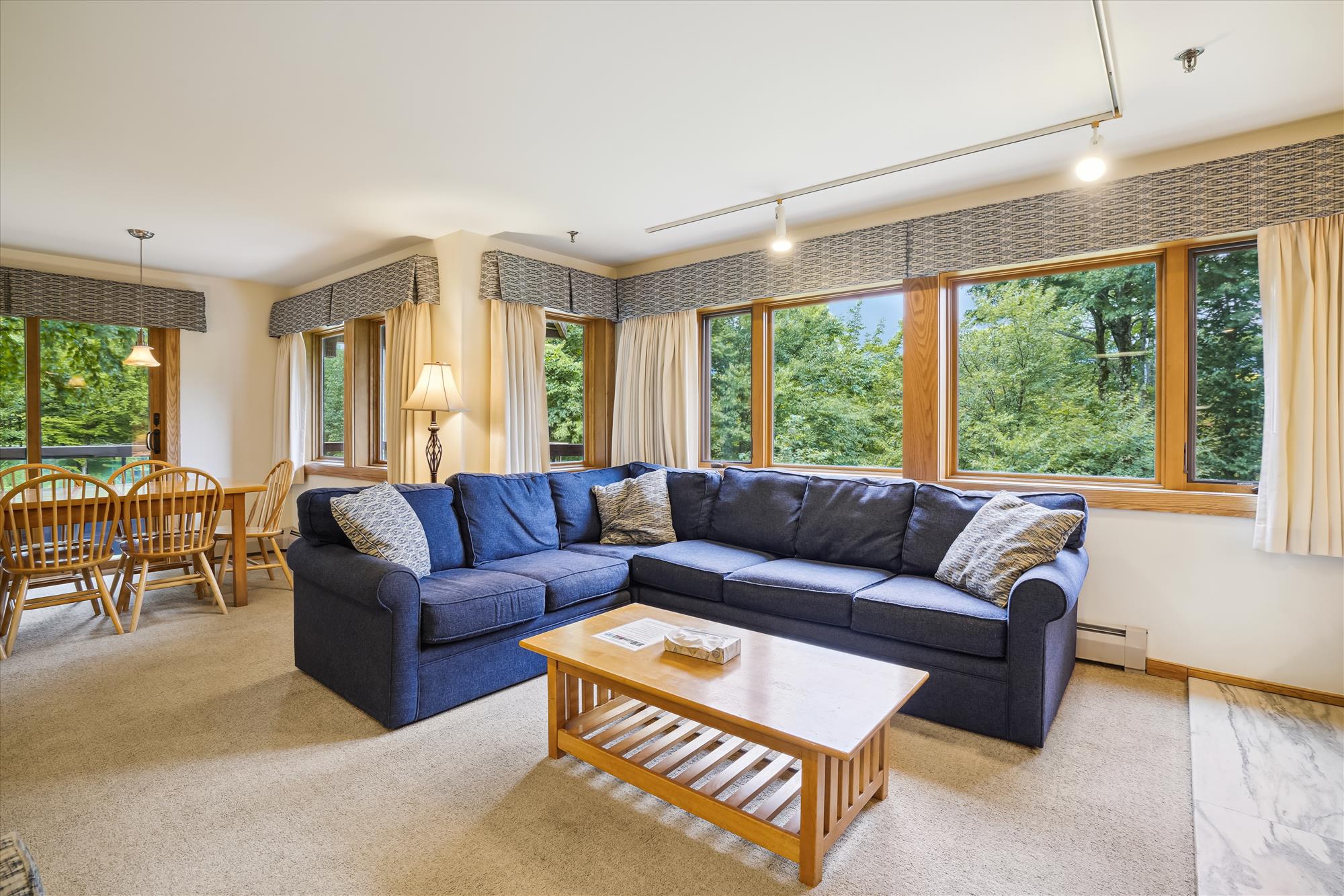 Bright Living Room with Woodland Views
