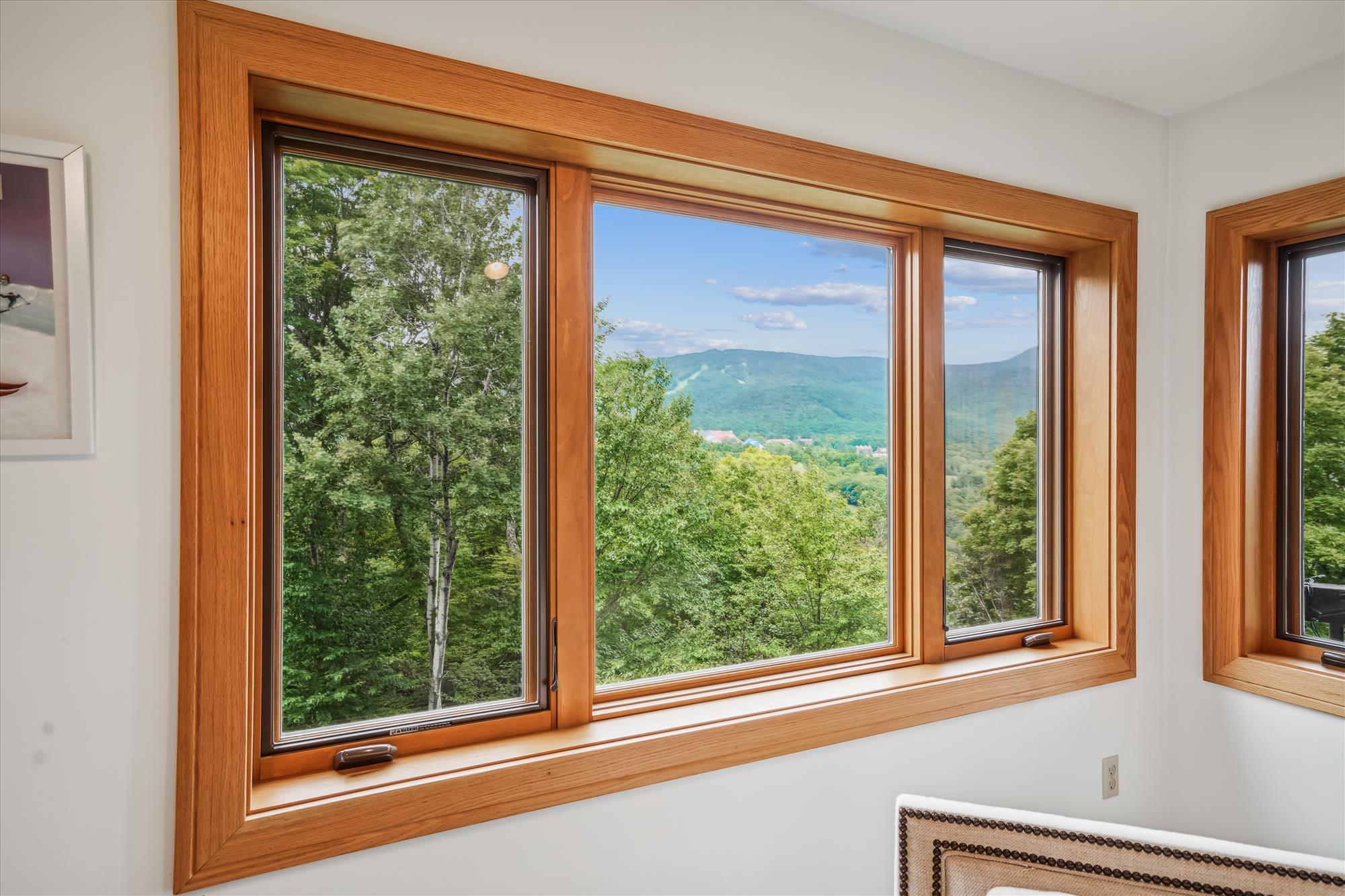 Large Windows Framing Scenic Views
