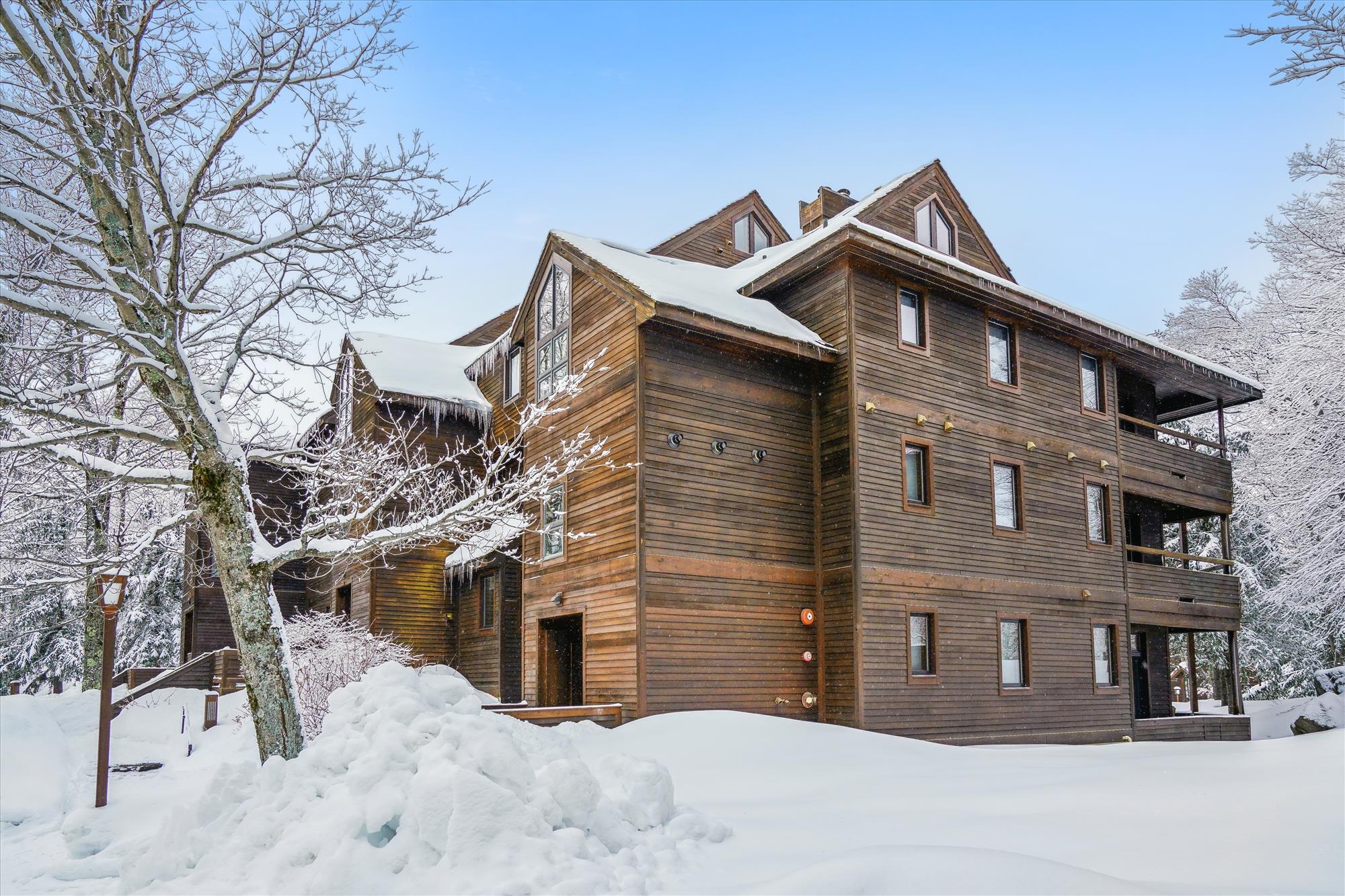 Mountain Charm in Every Season