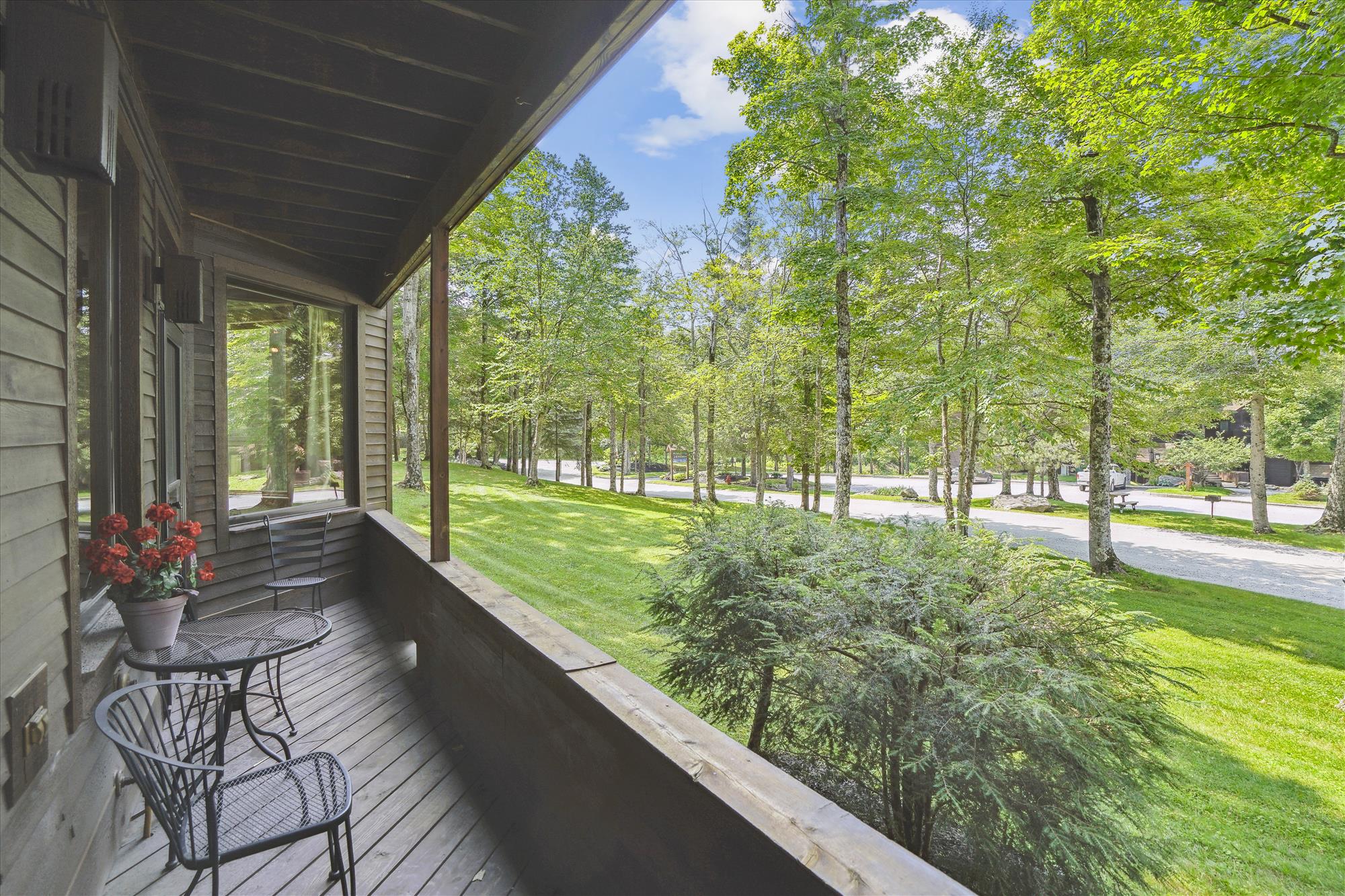 View from deck