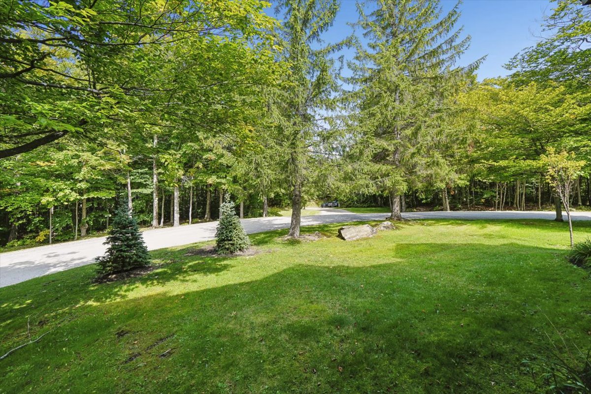 Wooded Mountain Setting