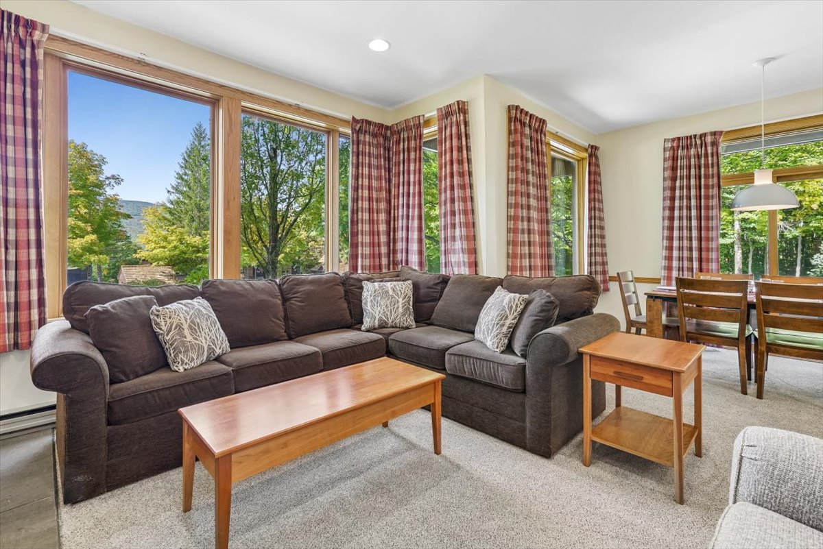 Living Room Surrounded by Windows