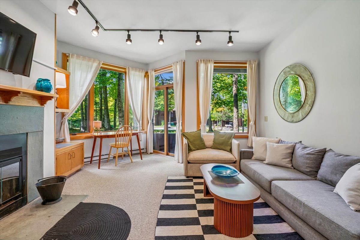 Bright Living Room with Wooded Views