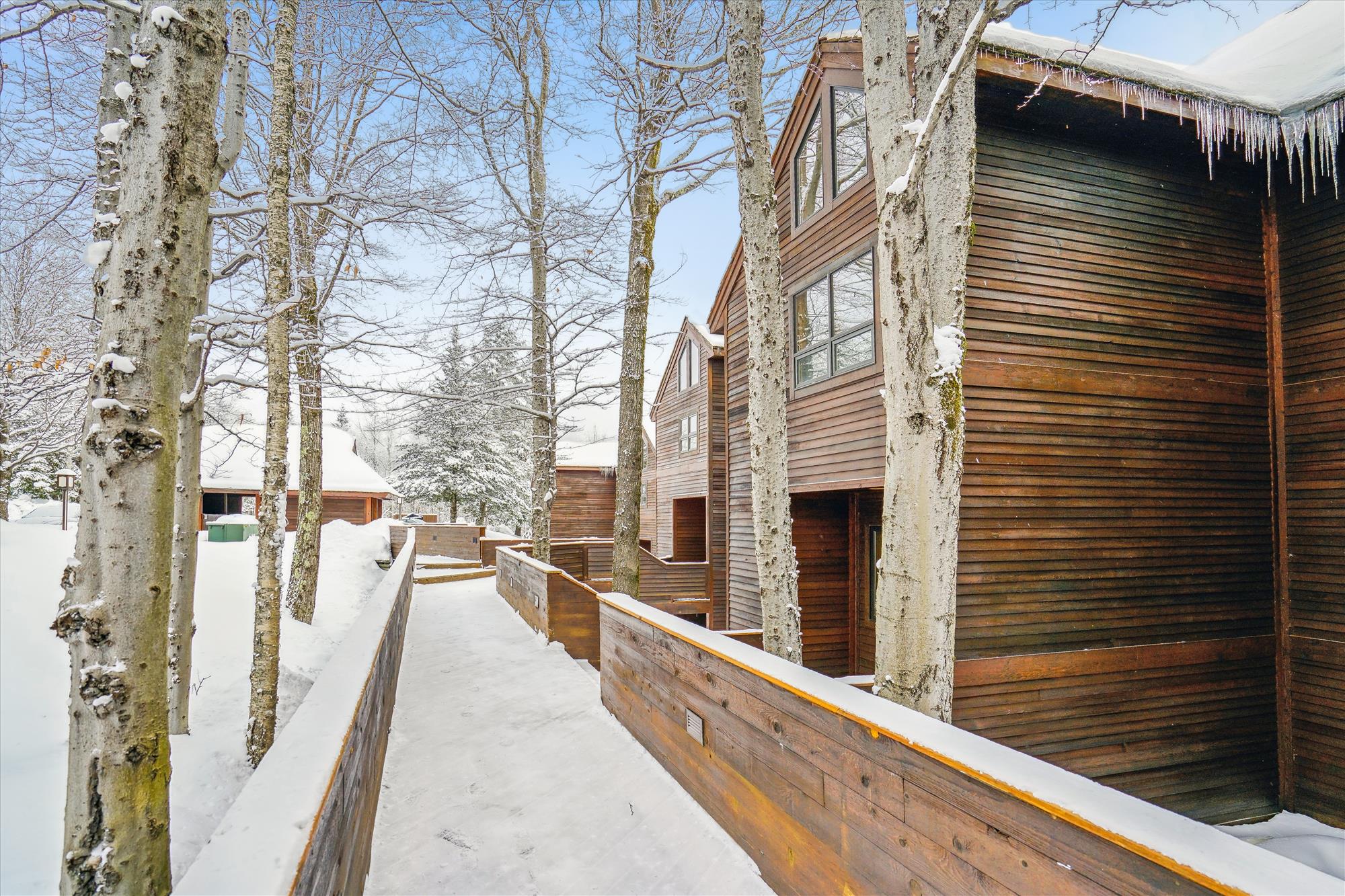 Winter Walkway to the Building
