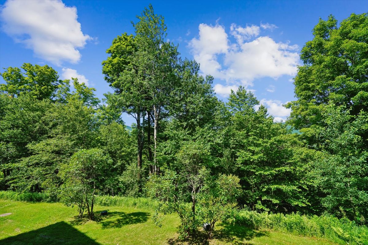 Green Mountain Summers