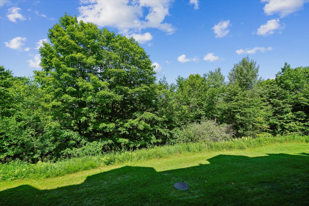 Peaceful Wooded Setting