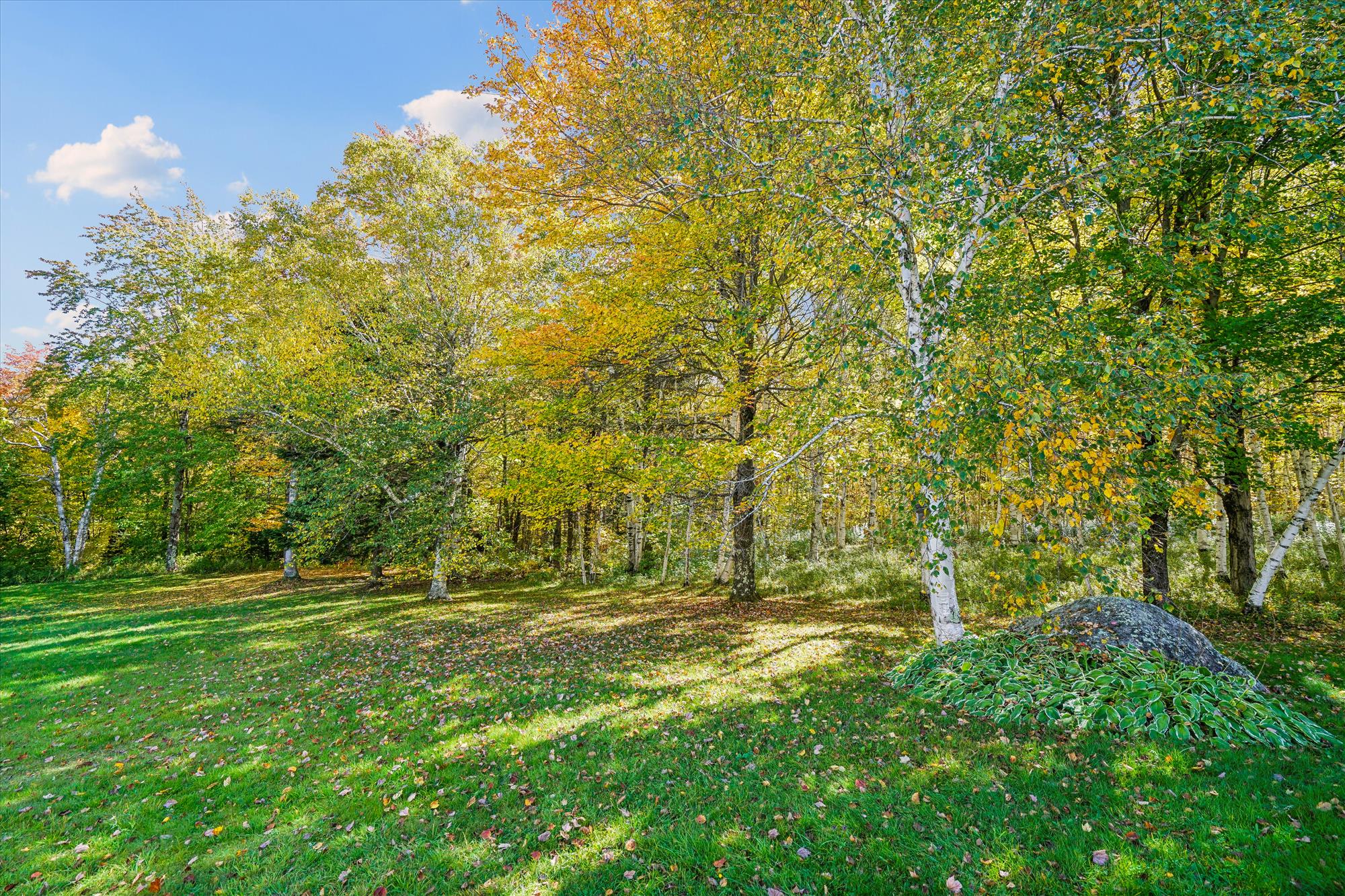 Nature Right Outside Your Door