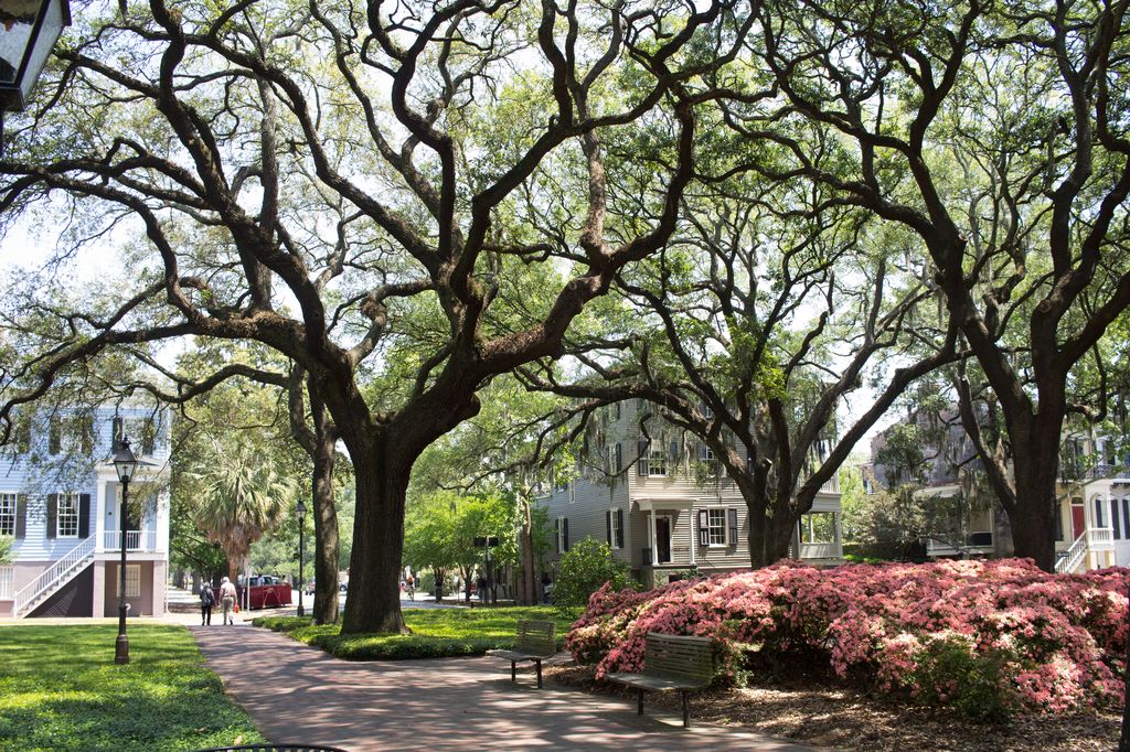 Pulaski Square Carriage House Savannah Rentals Lucky Savannah