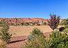 The view of our beautiful red mountains from the back patio. 