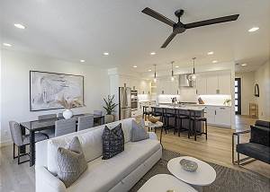 The Frightened Turtle