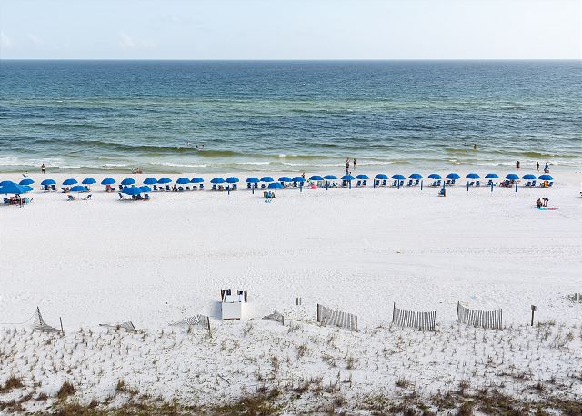 Island Princess #612 4