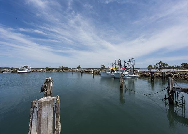 Bayside Beauty
