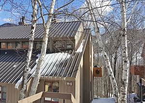 Village of Loon 54W