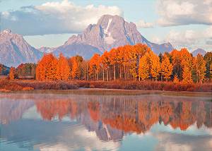 Mountain Moran and Autumn Colors 