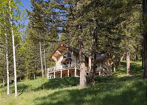 Cabin Below - Sunshine and Evergreens 