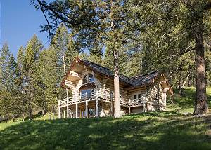 Cabin Front - In the Forest