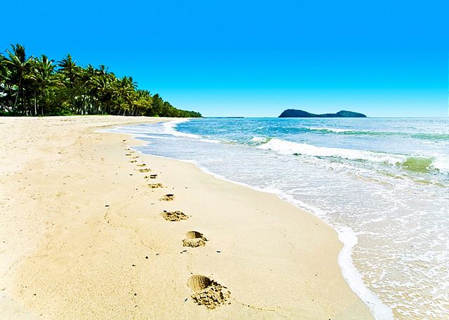 Temple 121 Modern Spacious Palm Cove 2 Brm 2 Bth Resort...