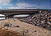 If you want to go to the beach side, no need to cross a busy road. Go under it. Just cross to the Gulf of Mexico by walking the path under the bridge