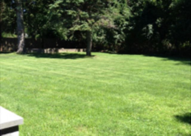 Lawn