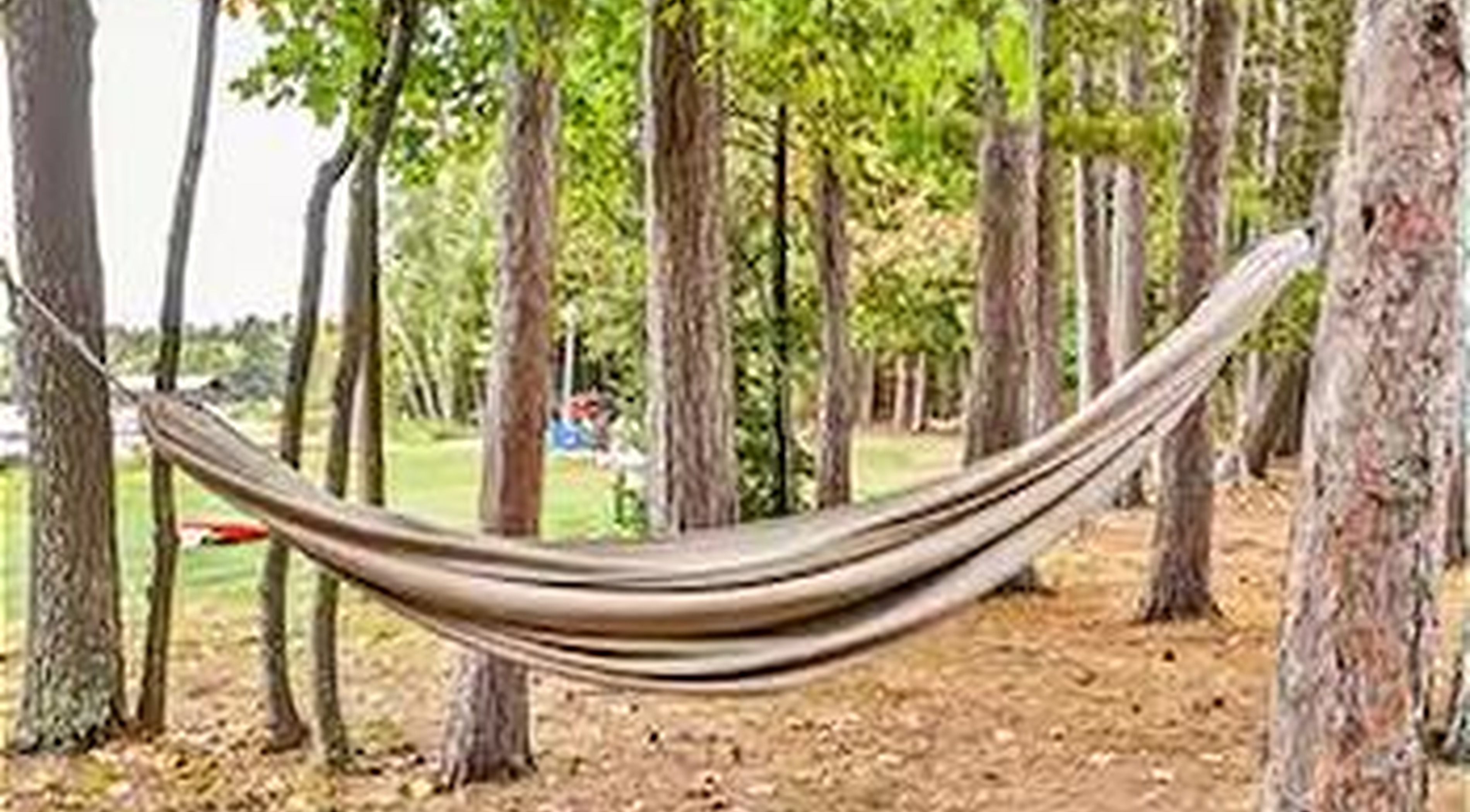 The Bass Cottage | Photo 14