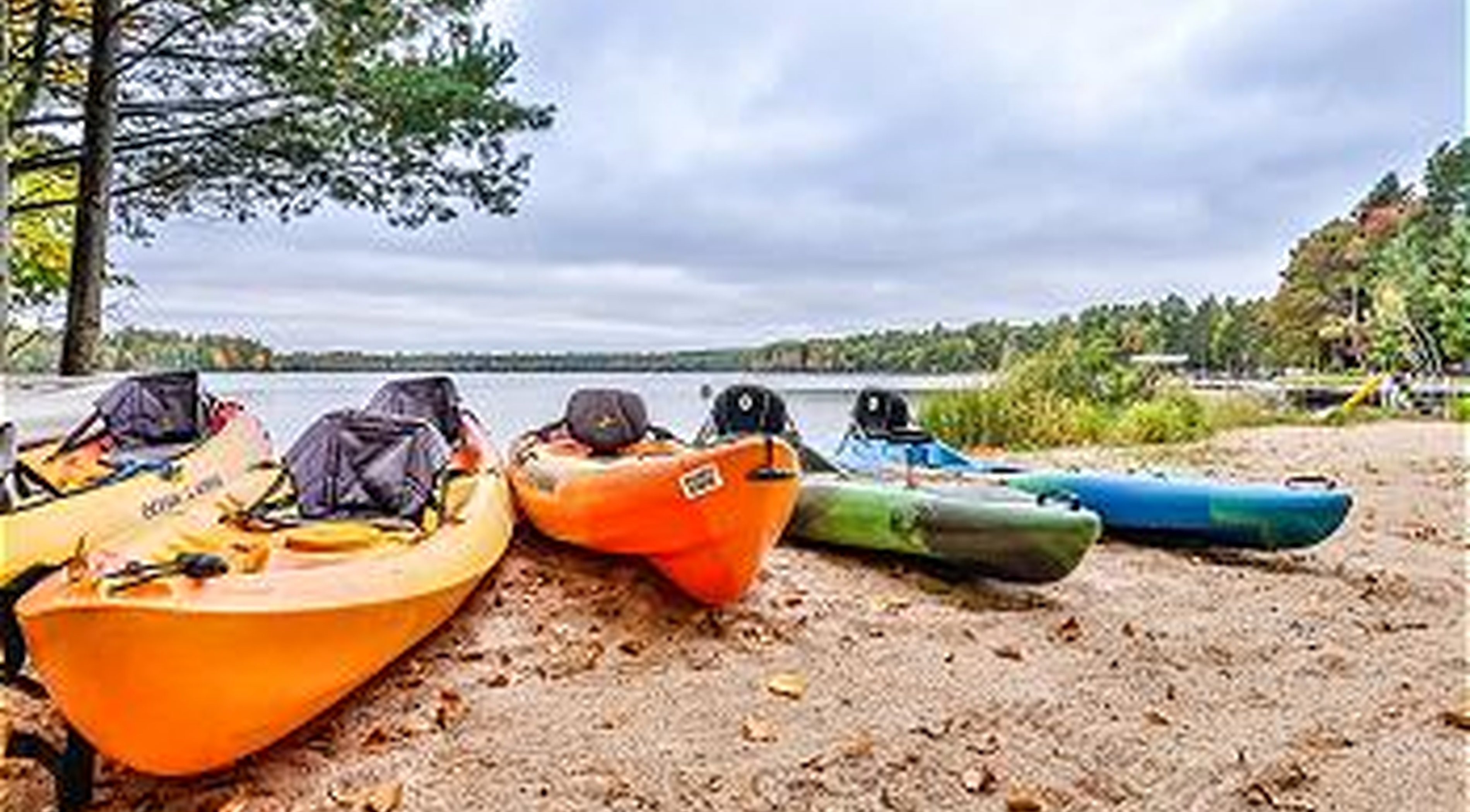 The Walleye Cottage | Photo 32