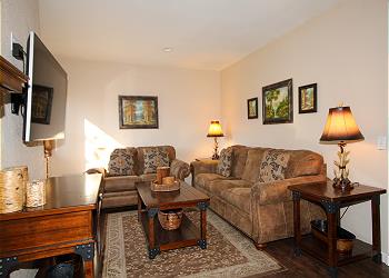 Living room and tv