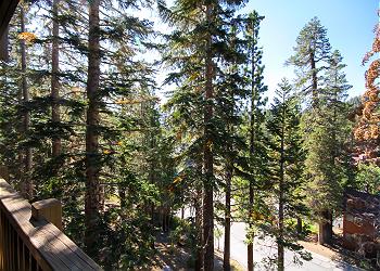Balcony view