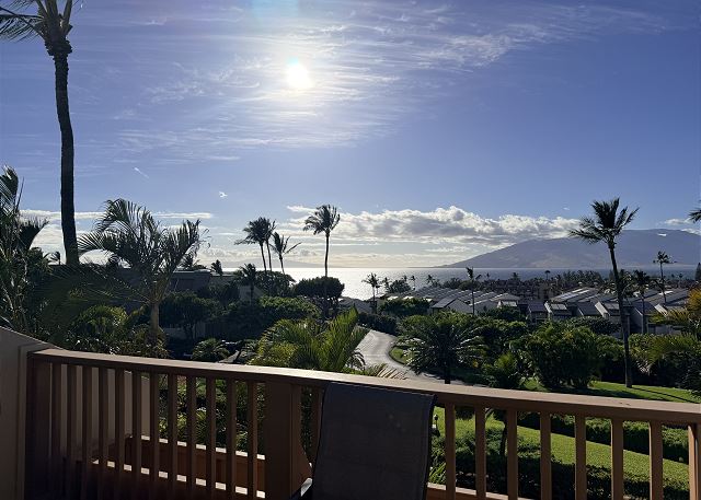 Maui Kamaole J214